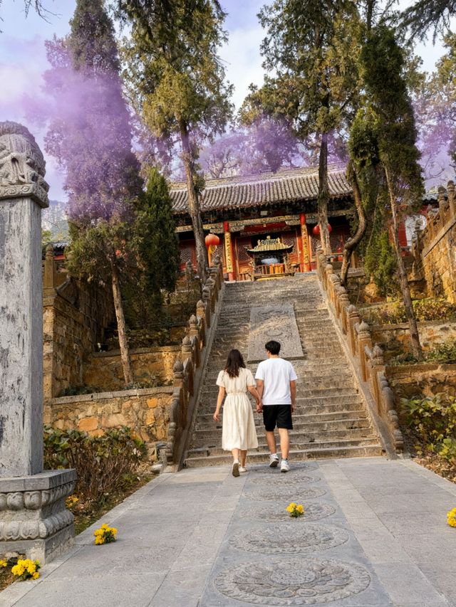 行走河南，讀懂中國！登封大法王寺深度遊：1900年菩提道場的秘密   來河南登封，別只盯著少林寺！藏