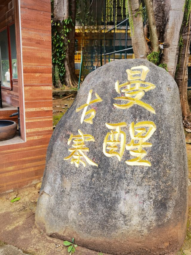 西雙版納三日遊 西雙版納三日遊