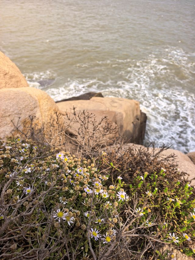 秋日漫步海水不藍的南麂島