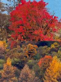 小眾古寨尋秋記