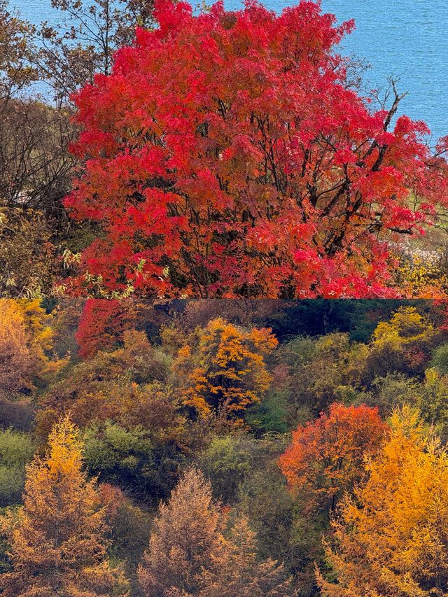 小眾古寨尋秋記 小眾古寨尋秋記
