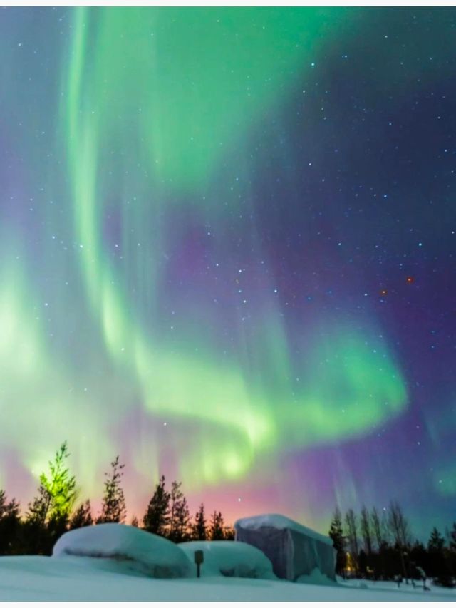極光森林奇幻夜