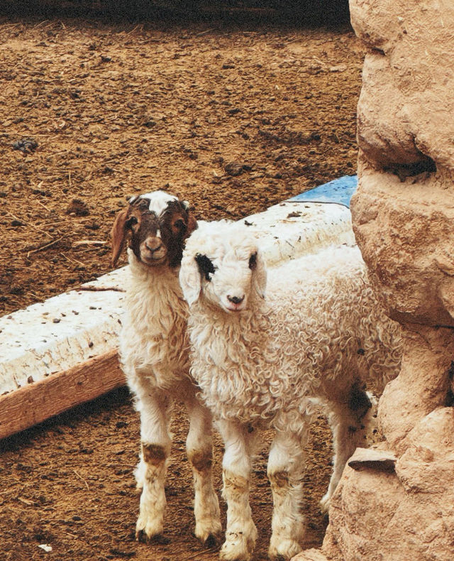 鴻達酒店的免費停車場真能處 鴻達酒店的免費停車場真能處