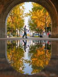 明孝陵2日遊攻略