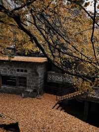 人少!景美!秋季來衡山到這才能值回票價