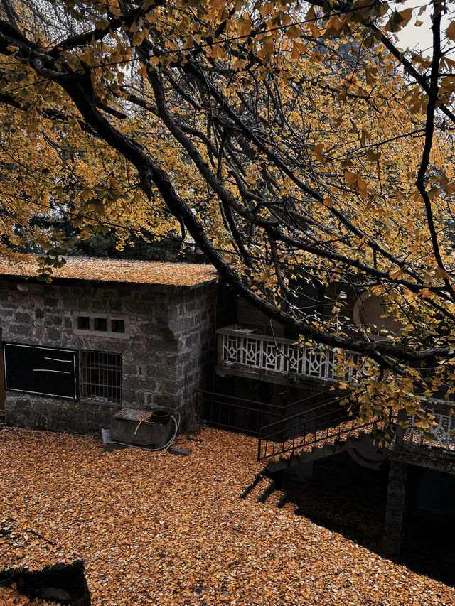 人少!景美!秋季來衡山到這才能值回票價 人少!景美!秋季來衡山到這才能值回票價