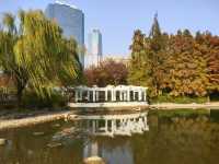 상하이 신홍교센터정원—도심 속 자연과 예술이 어우러진 꿈꾸는 섬