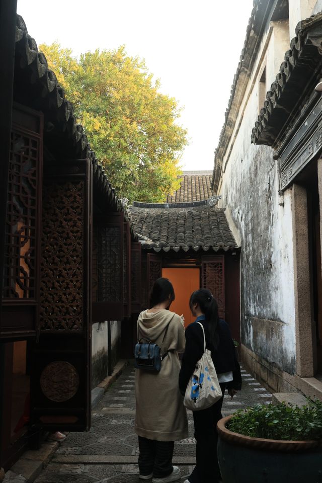 秋天總要帶娃去一次水鄉第一古鎮
