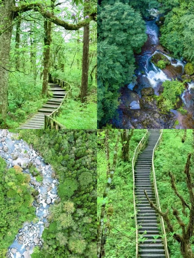 疊翠溪集翠溪森林奇景於一體的旅遊寶藏地