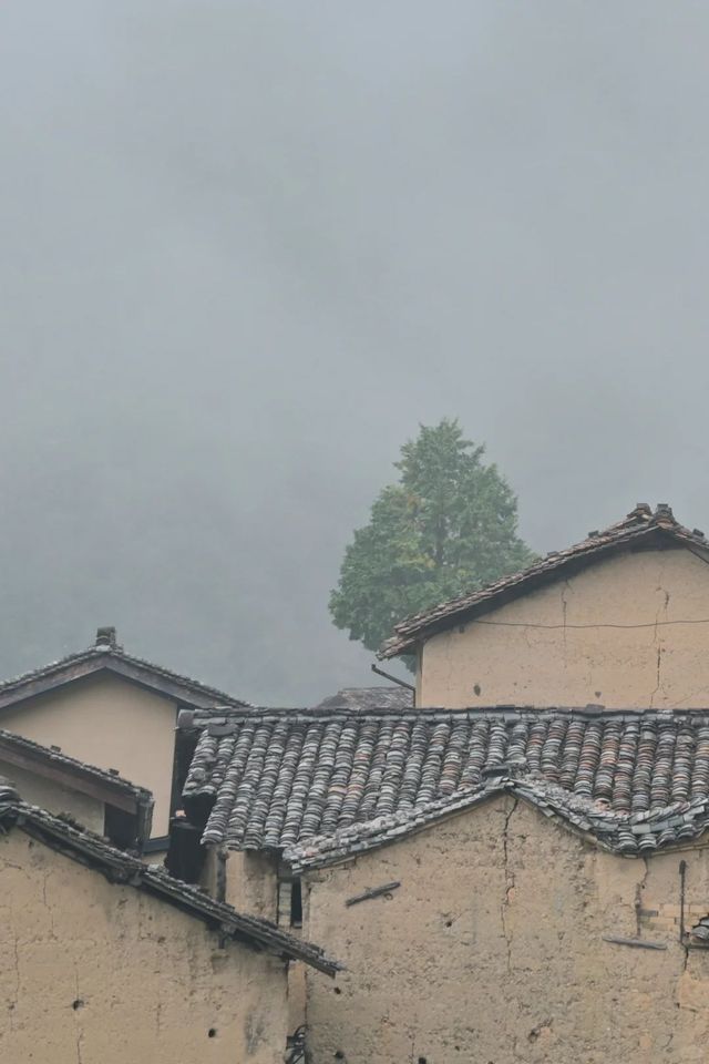 浙江麗水 | 縉雲松陽·江南最後的秘境