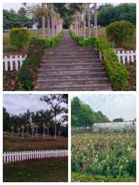 《廣東隱藏的「遛娃天堂」！20元和海獅貼臉殺，78元玩遍動物