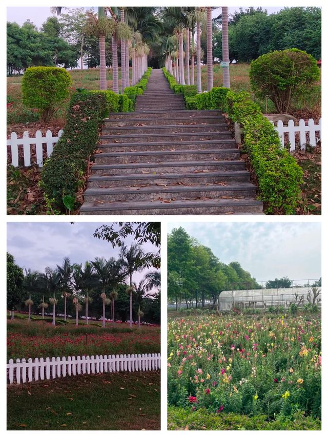 《廣東隱藏的「遛娃天堂」！20元和海獅貼臉殺，78元玩遍動物