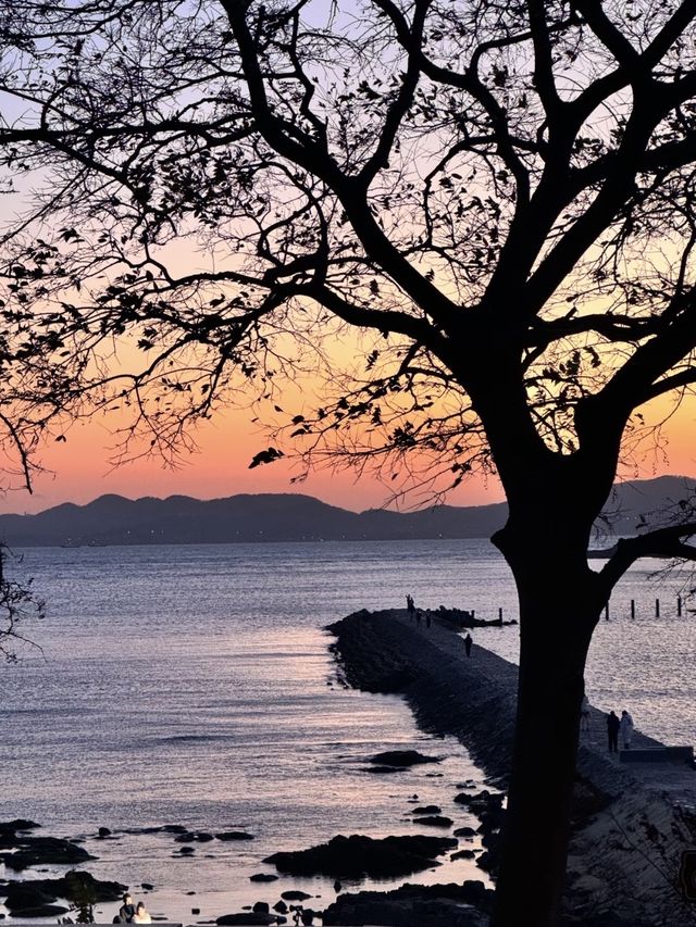 在青島邂逅電影感十足的藍調浪漫