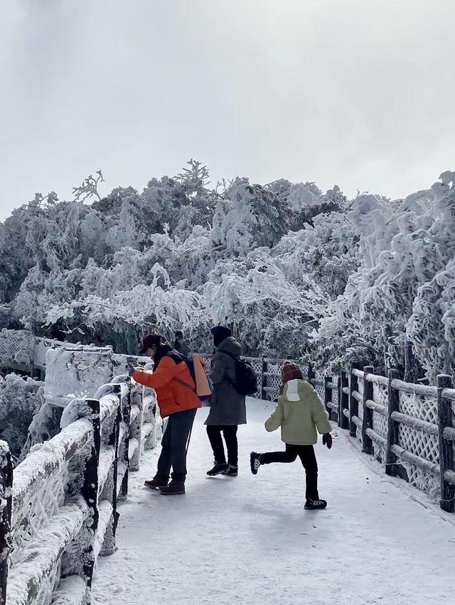 廣東雪景平替1.5h直達莽山絕美霧淞秘境
