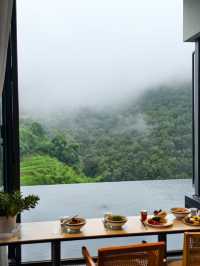 在版納雨林裡住進了現實版《飛屋環遊記》！