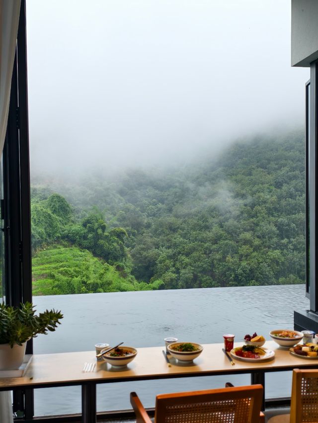 在版納雨林裡住進了現實版《飛屋環遊記》！