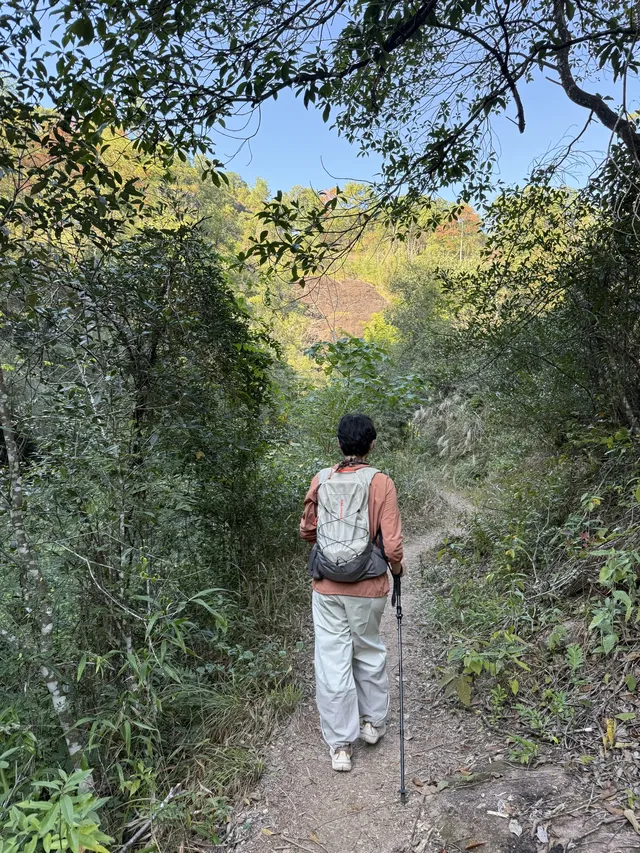 福建武夷山,徒步在最美茶道,看盡丹霞風貌 福建武夷山,徒步在最美茶道,看盡丹霞風貌