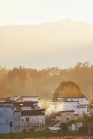 Lucun ｜ Will punish everyone who makes or doesn't make a travel plan