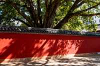 雲南丘比（丘北）深度遊：山水煙火裡的治癒慢時光