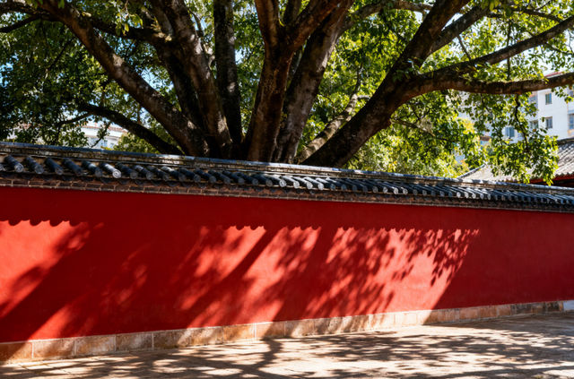 雲南丘比（丘北）深度遊：山水煙火裡的治癒慢時光