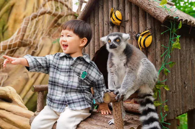 2h直達上海周邊遛娃聖地南通野生動物