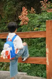 在福州｜安利這個值得帶小朋友N刷的寶藏公園