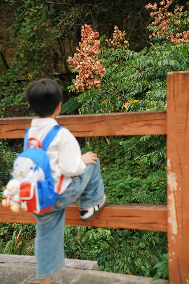 在福州｜安利這個值得帶小朋友N刷的寶藏公園
