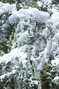 跟我們德陽出發每週去野吧！