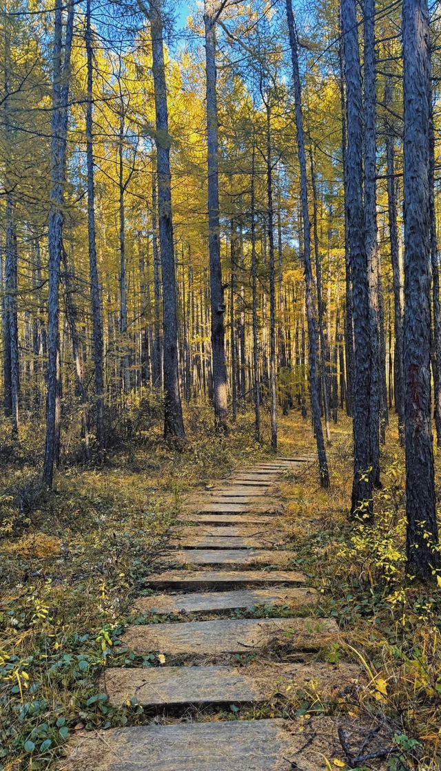 大興安嶺五天四夜奇幻之旅 大興安嶺五天四夜奇幻之旅