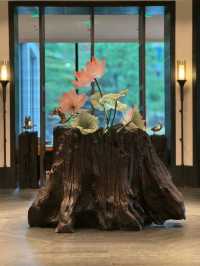 新開業!在溫州楠溪江泡個山林溫泉