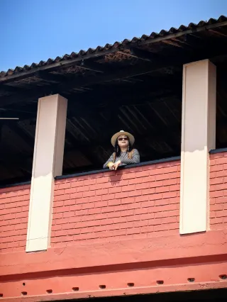 スリランカの海辺の列車