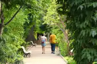 穿行阿爾布費拉自然公園，遇見自然本真