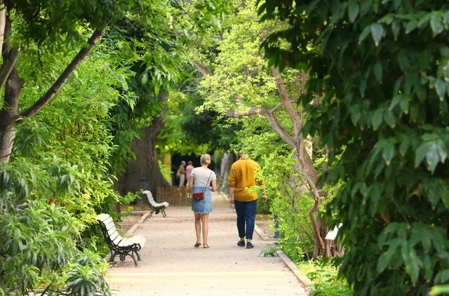 穿行阿爾布費拉自然公園，遇見自然本真
