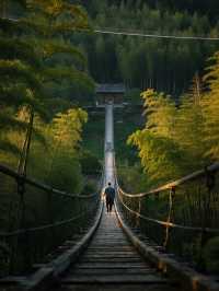 錯峰親子遊|南山竹海+天目湖超全攻略