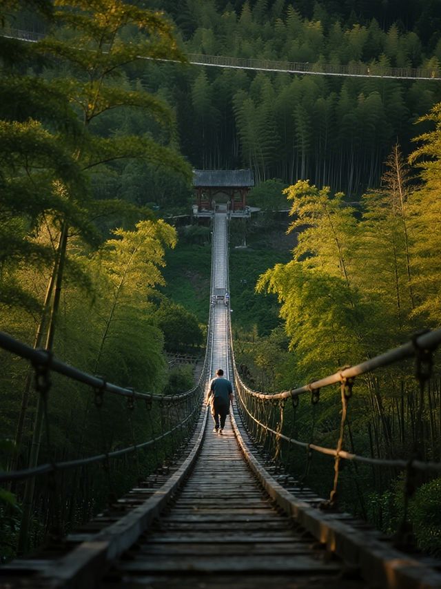錯峰親子遊|南山竹海+天目湖超全攻略 錯峰親子遊|南山竹海+天目湖超全攻略