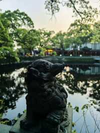 一海一剎一菩提，普陀山春遊記