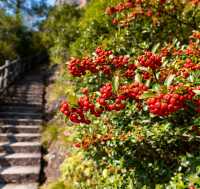 避開人潮!冠豸山私藏玩法,美到窒息!