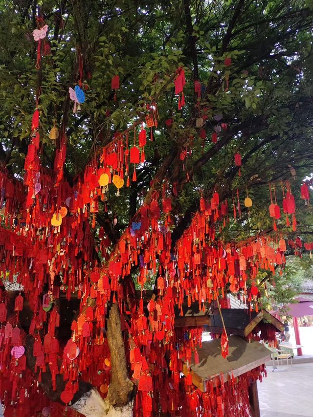 昆明·官渡古鎮 昆明·官渡古鎮