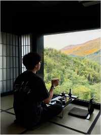 安吉隱世新坐標|竹林泳池邂逅星空