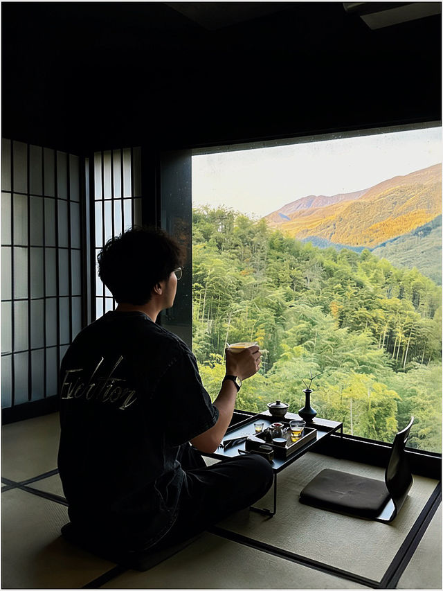 安吉隱世新坐標|竹林泳池邂逅星空 安吉隱世新坐標|竹林泳池邂逅星空