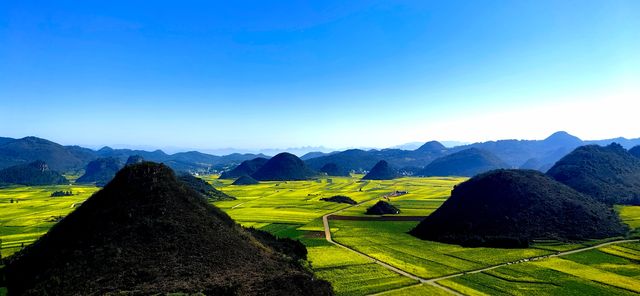 峰叢花田醉我心