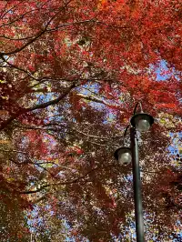 莫干山的正確打開方式