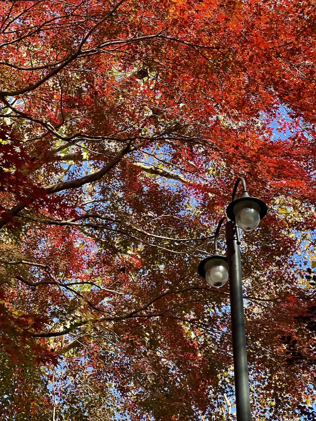 莫干山的正確打開方式 莫干山的正確打開方式