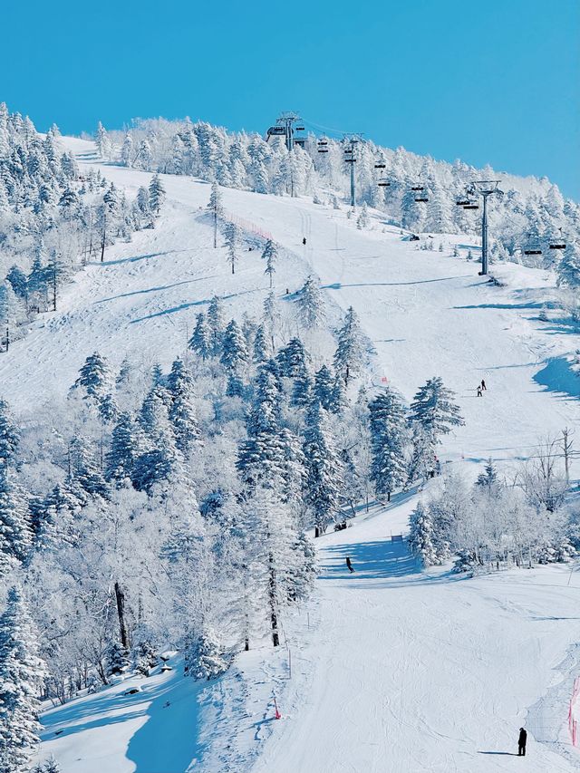 北大湖滑雪避坑指南 美景天堂≠新手友好,慎入! 北大湖滑雪避坑指南 美景天堂≠新手友好,慎入!