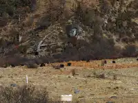 有一個地方叫做稻城……