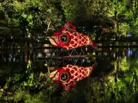 宏村魚燈夜,氛圍感直接拉滿