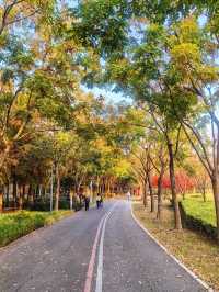 上海，沔青公園