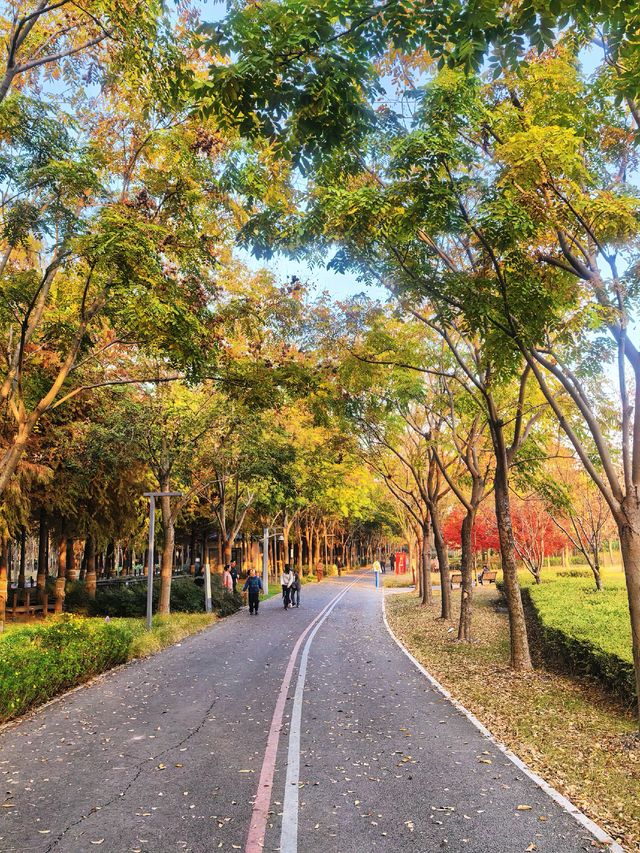 上海，沔青公園