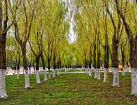 [Citywalk]漢口的citywalk，容量有點大