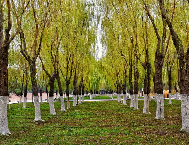 [Citywalk]漢口的citywalk，容量有點大